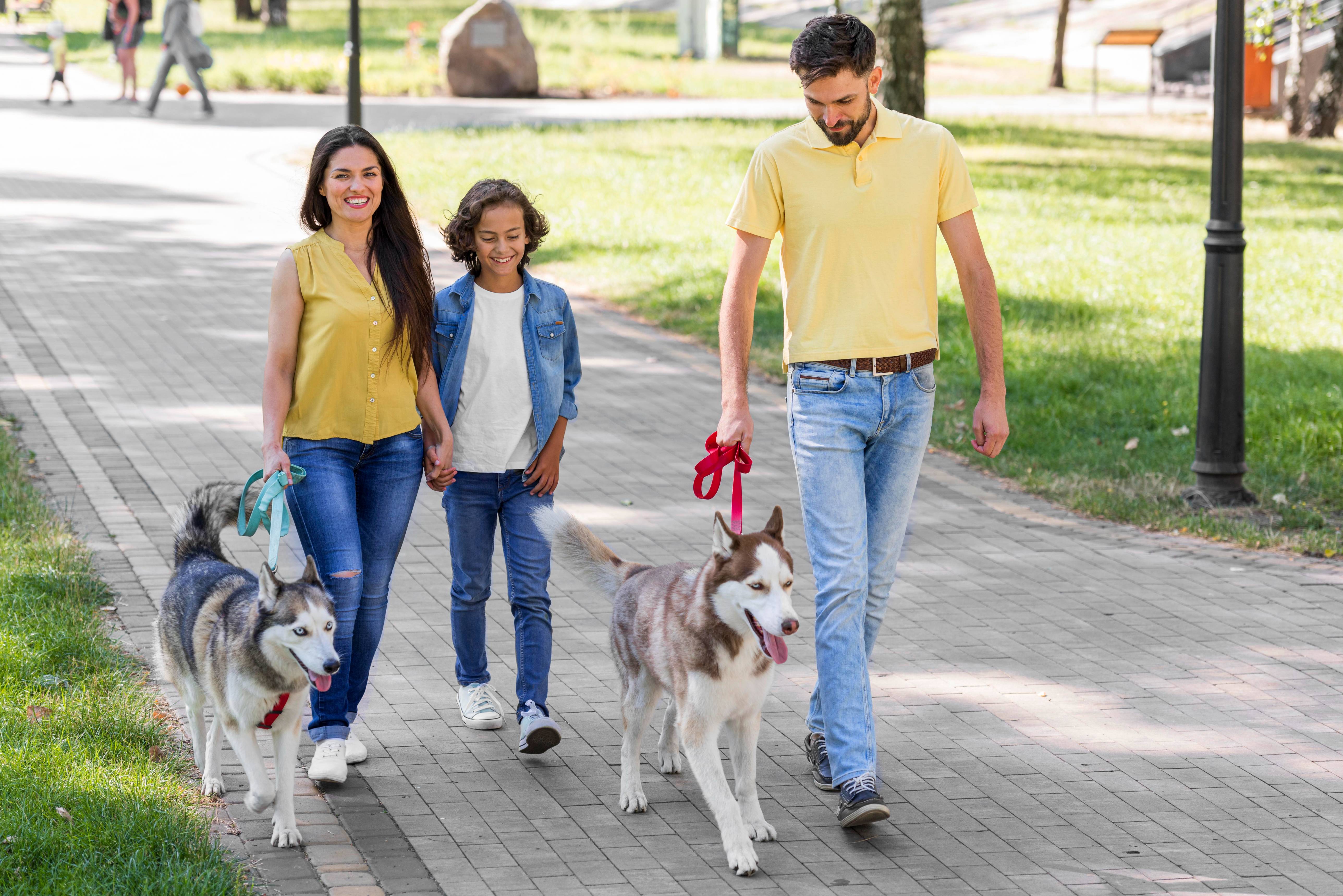 Pets in the City: Your rights, rules and responsibilities in the housing societies.