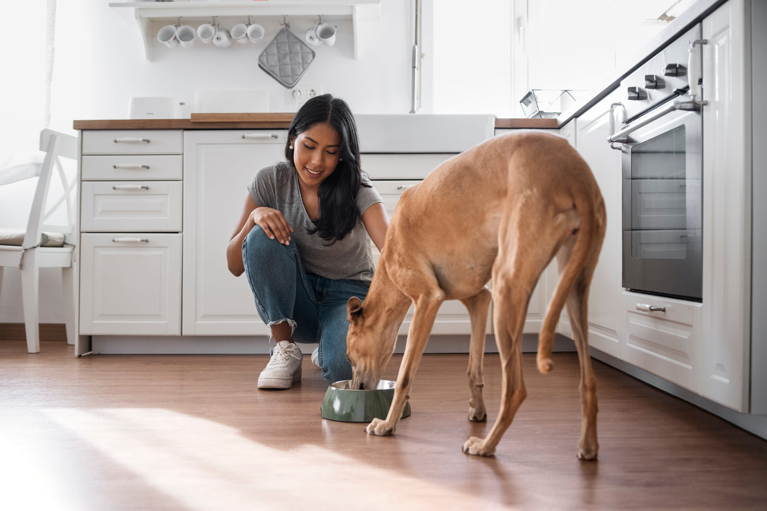 Is Peanut Butter Safe for Dogs?