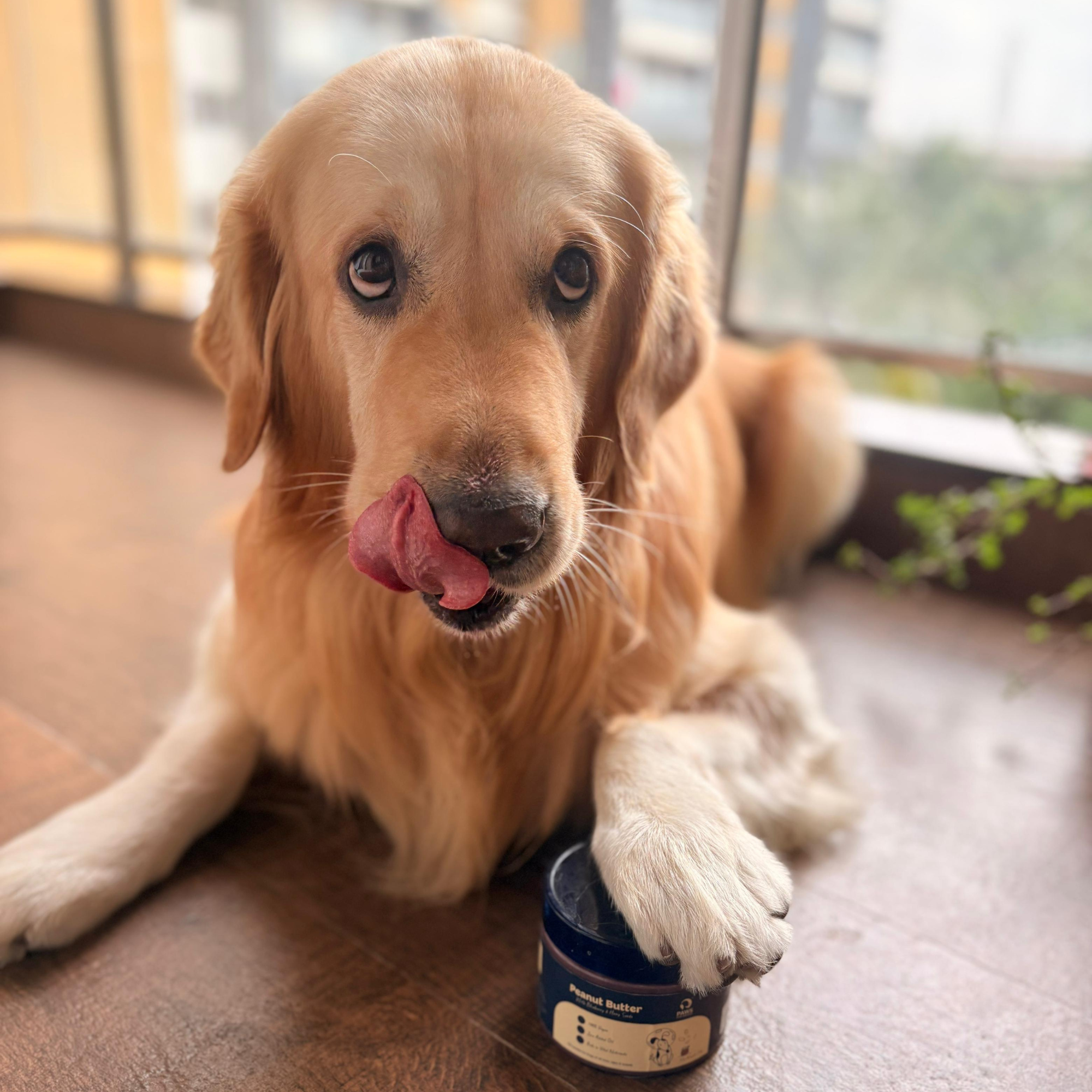 Diwali Special Dog Treat Combo Vegan Peanut Butter & Natural Dog Snacks