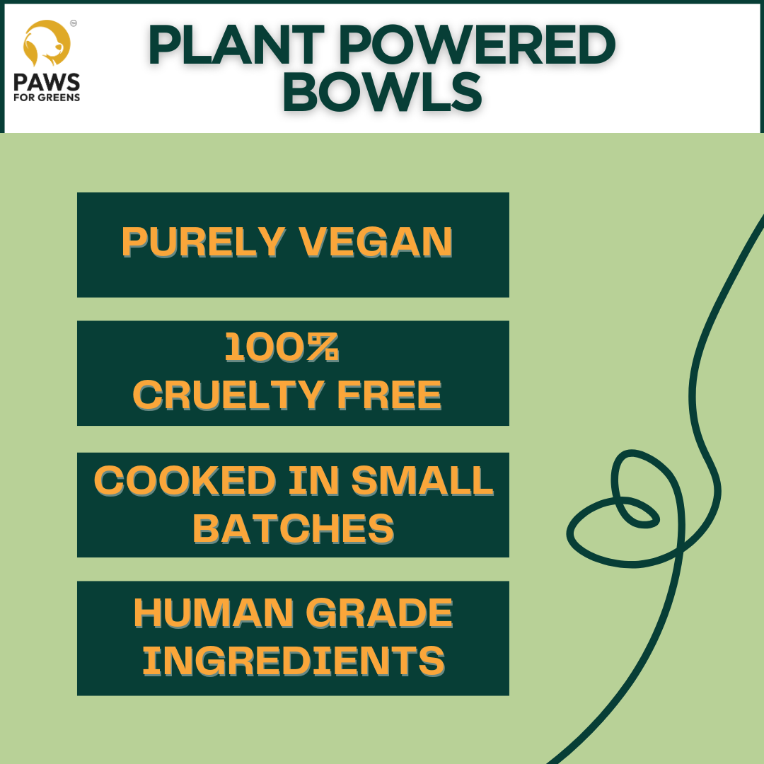 Vegan Wet Dog Food Real Veggies Ready to Eat Plant-based Veg Pet Food Preservative-Free (Peas 100g+100g Pack)