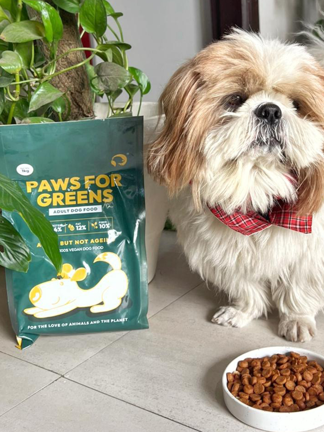 vegan dog food India, healthy dog food, sustainable dog food