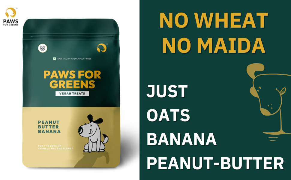 dog treats