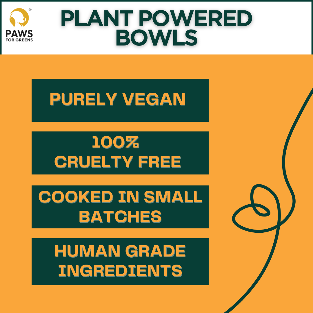 best wet food for dogs