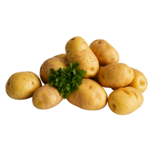 Potato Protein