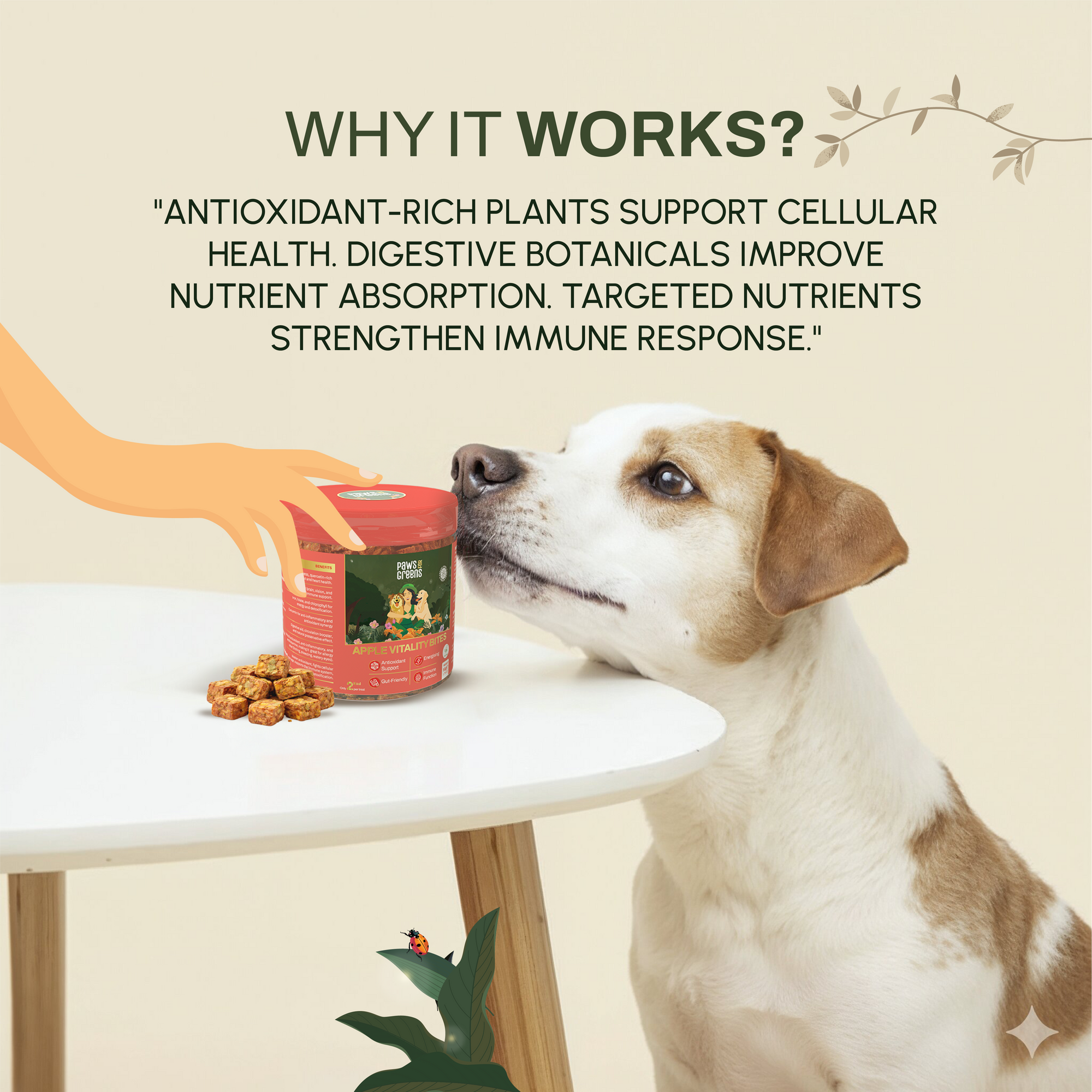 Apple Vitality Bites | Immunity & Antioxidant Support | Freeze-Dried Functional Treat