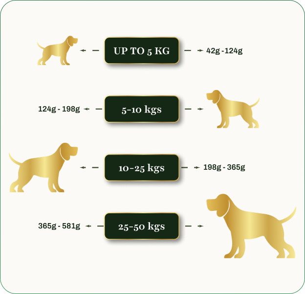 Feeding Guide