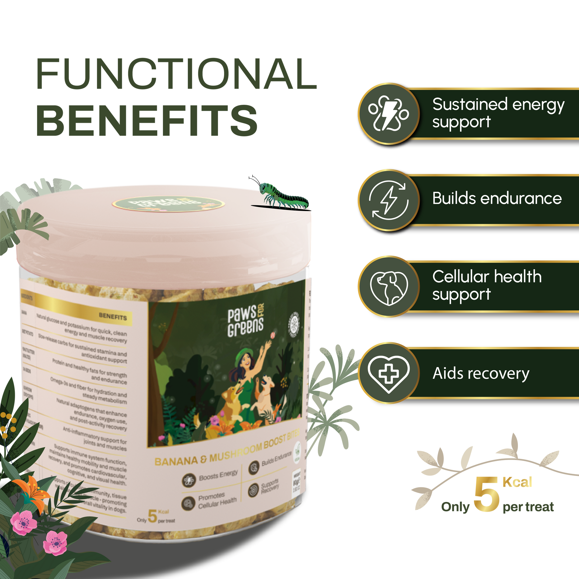 Banana & Mushroom Wellness Bites | Adaptogenic & Immune Support | Freeze-Dried Functional Treat