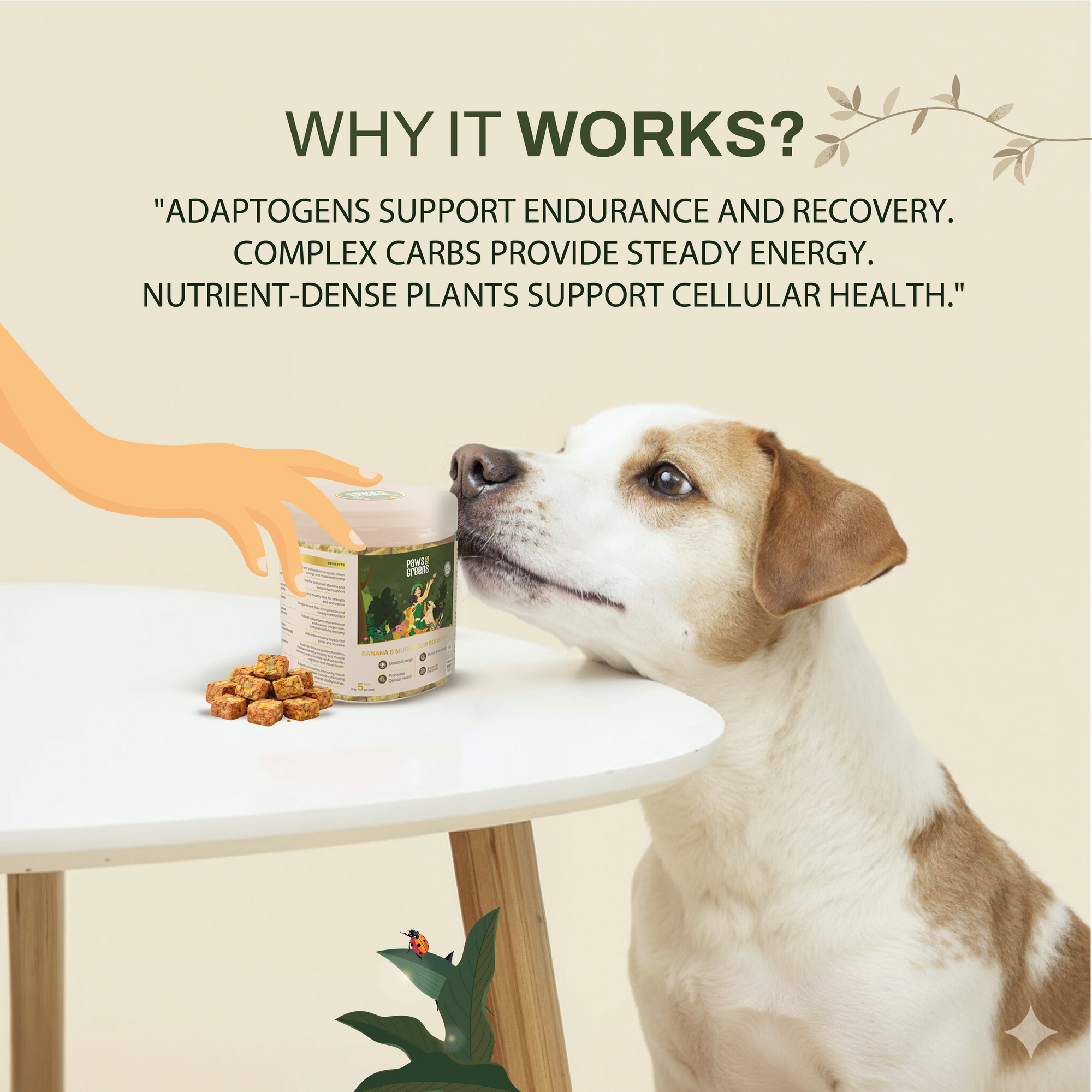 Banana & Mushroom Wellness Bites | Adaptogenic & Immune Support | Freeze-Dried Functional Treat