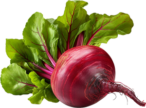 Beetroot