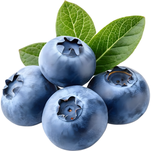Blueberry