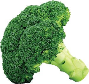 Broccoli