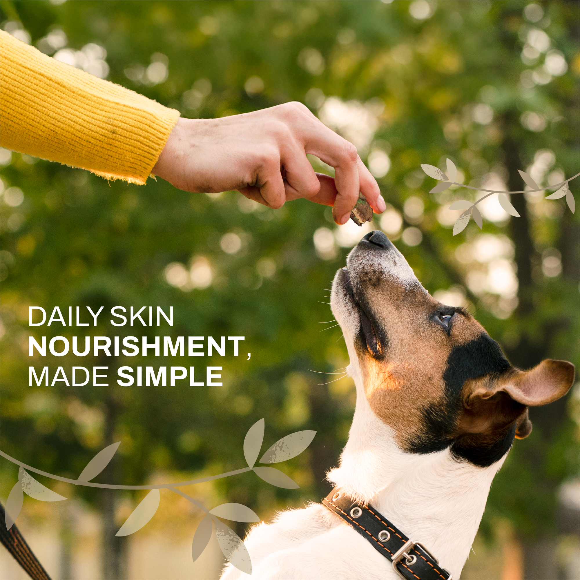 Coconut Skin & Coat Glow Bites | Omega & Skin Nourishment | Freeze-Dried Functional Treat for India
