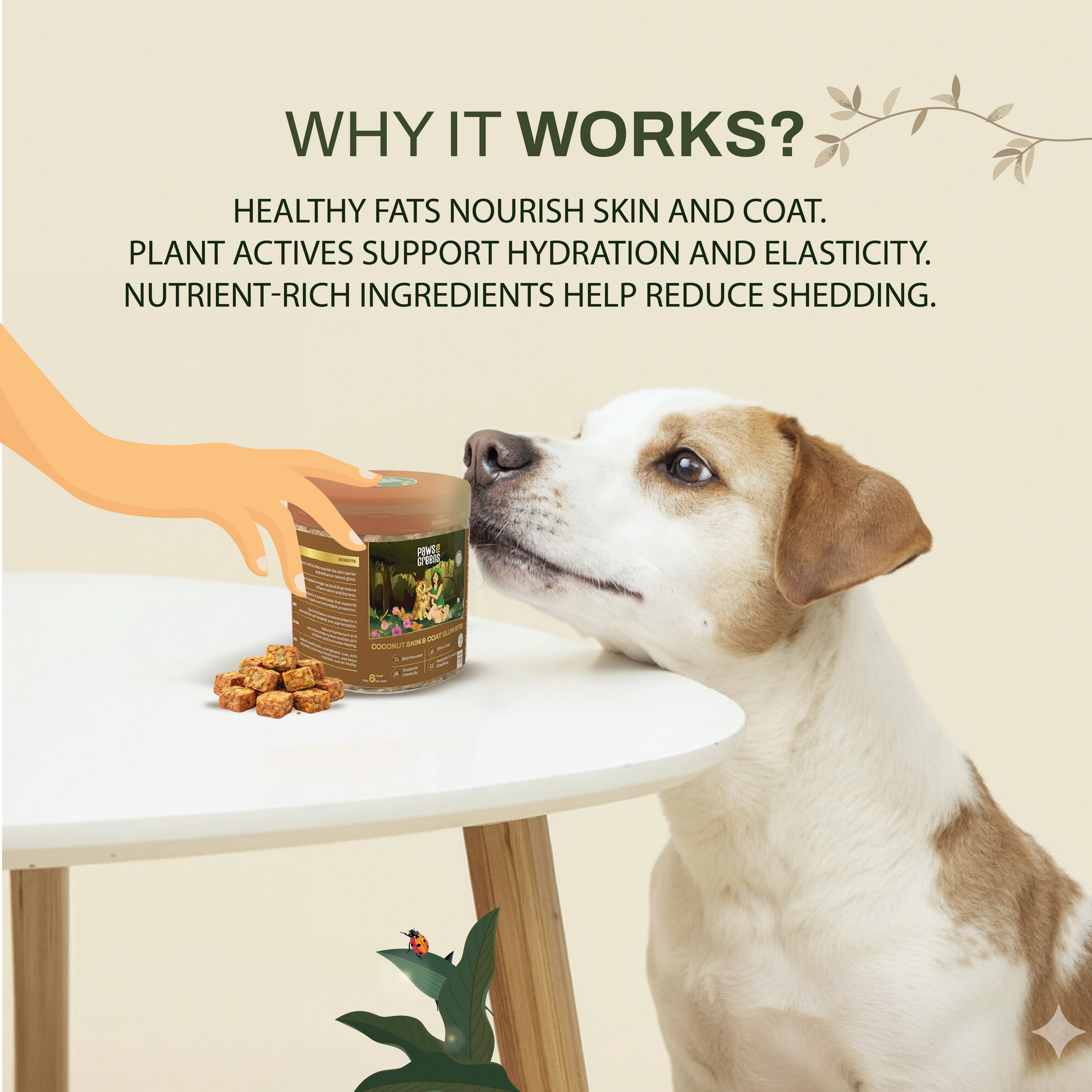 Coconut Skin & Coat Glow Bites | Omega & Skin Nourishment | Freeze-Dried Functional Treat for India