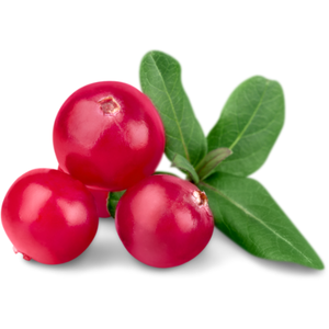 Cranberry Extract