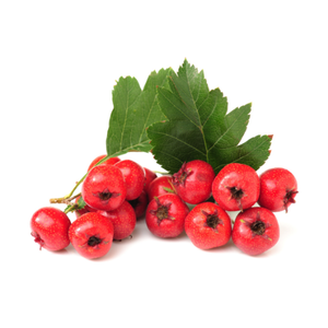 Hawthorn