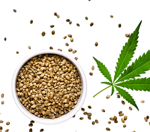 Hempseeds
