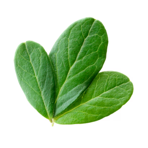 Lingonberry Leaf