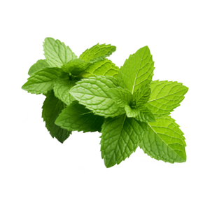 Peppermint