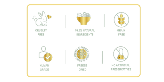 RAW FOOD BOOSTER FOR IMMUNITY