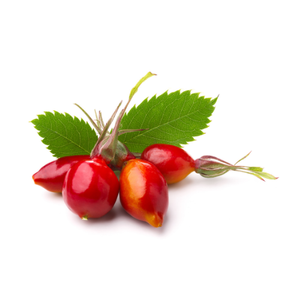 Rosehip Fruit