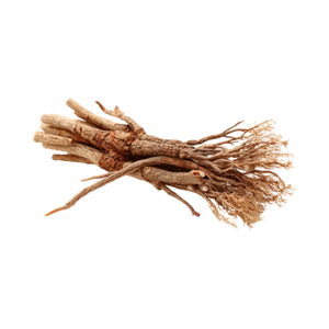 Valerian Root