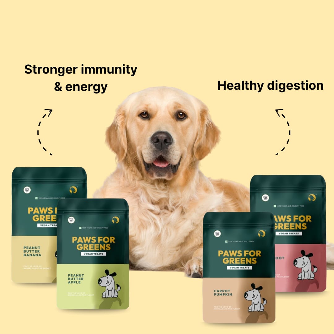 Dog Treats Plant-Based Healthy Vegan Biscuits for Dogs Pack of 4
