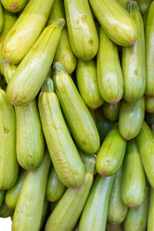 Zucchini