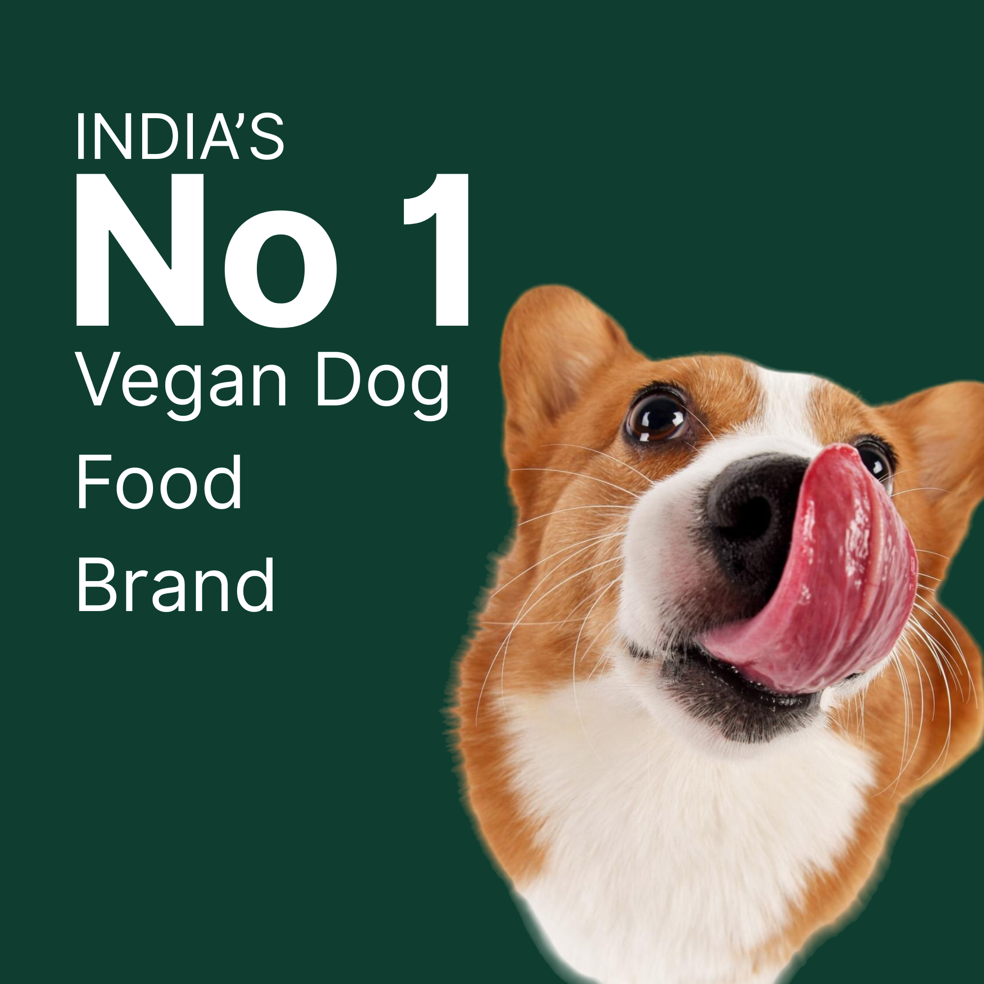 Veg Adult Dog Food – High Protein, Plant-Based, Meat-Free Dry Dog Food Kibble for All Breeds Complete Nutrition 4KG