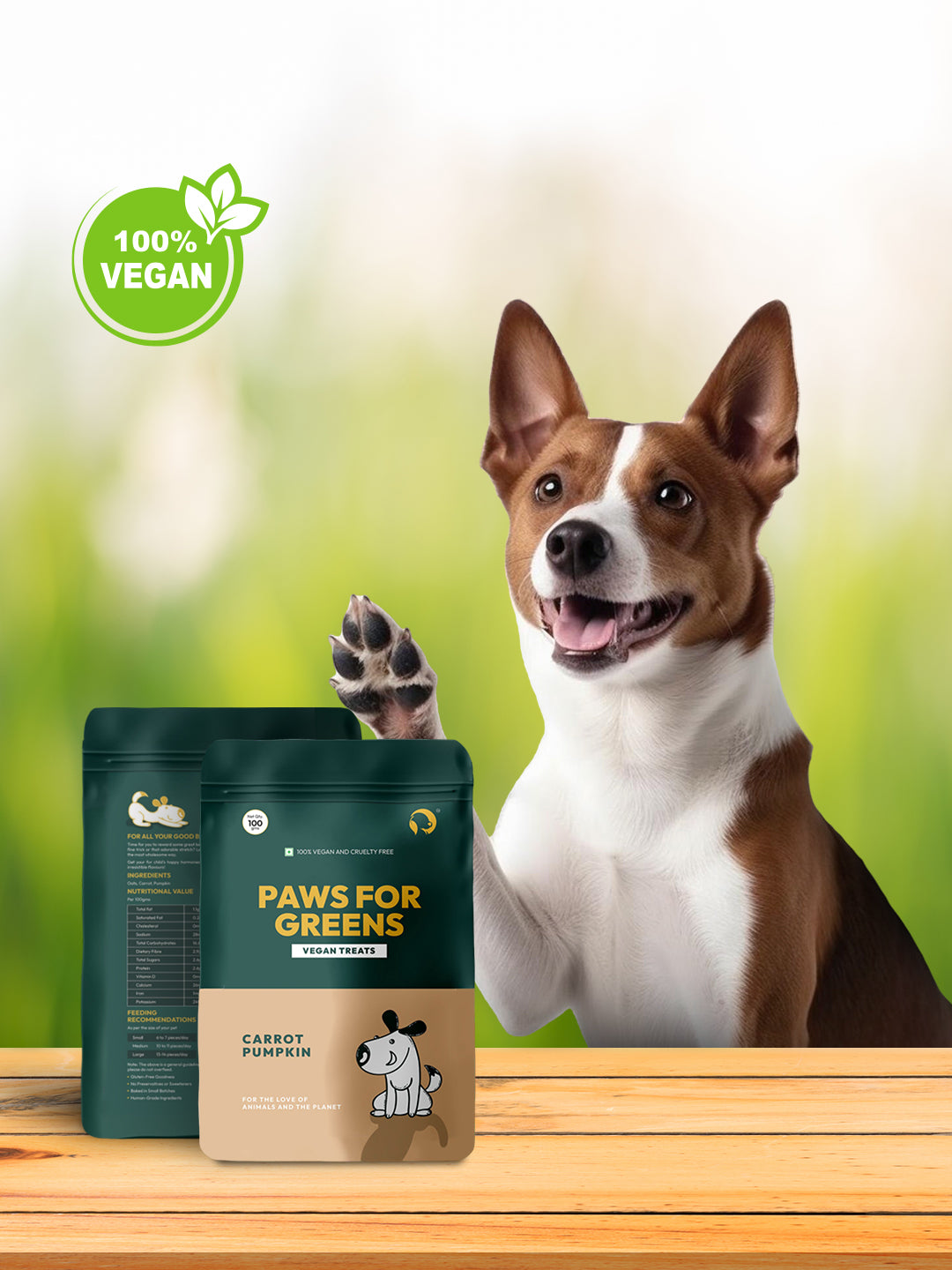 dog food treat pet biscuits vegan biscuits for dog