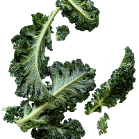 Kale