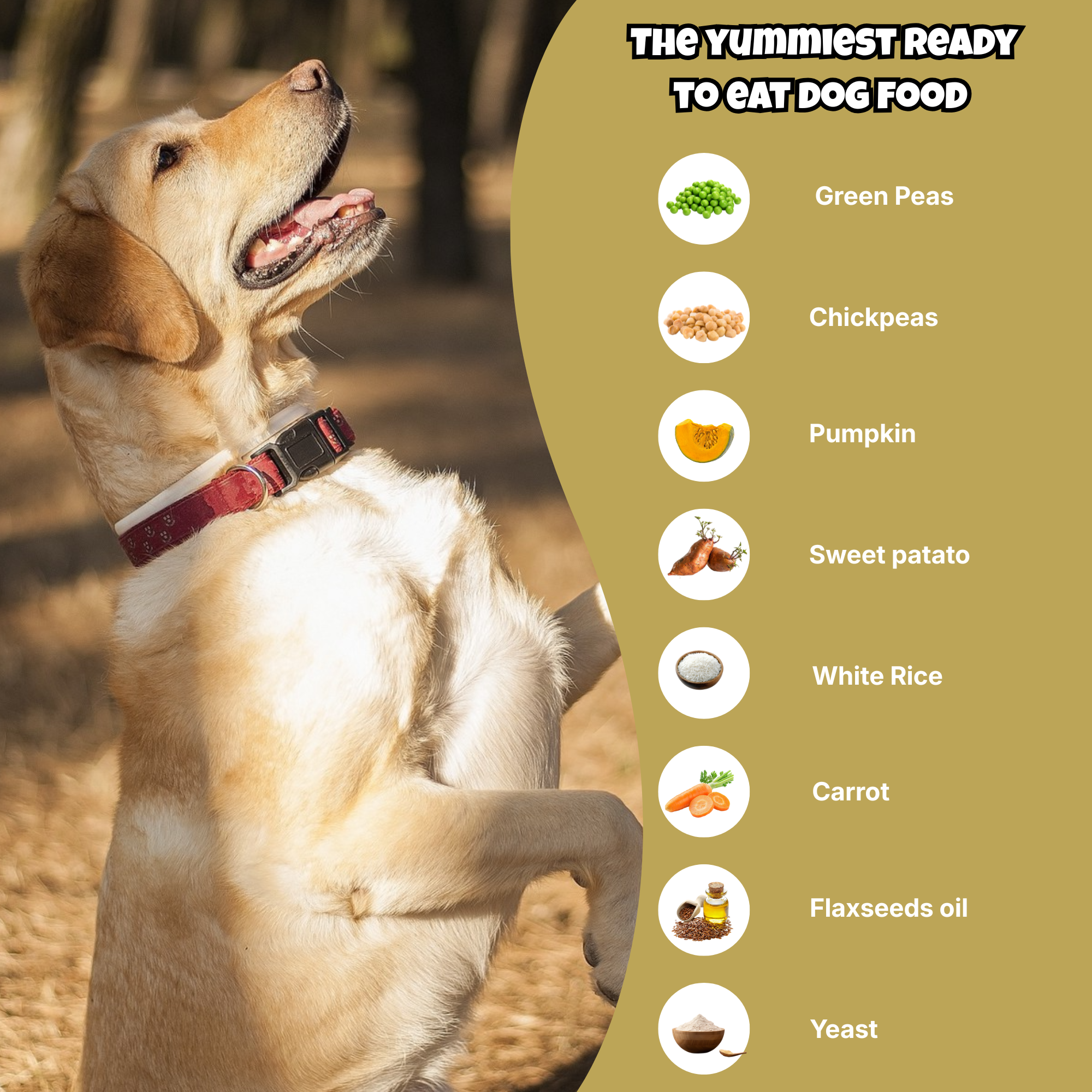 Veg Ready to Eat Wet Dog Food Plant & Based Vegan Pet Food Preservative-Free (Mix Veggie 100g+100g Pack)