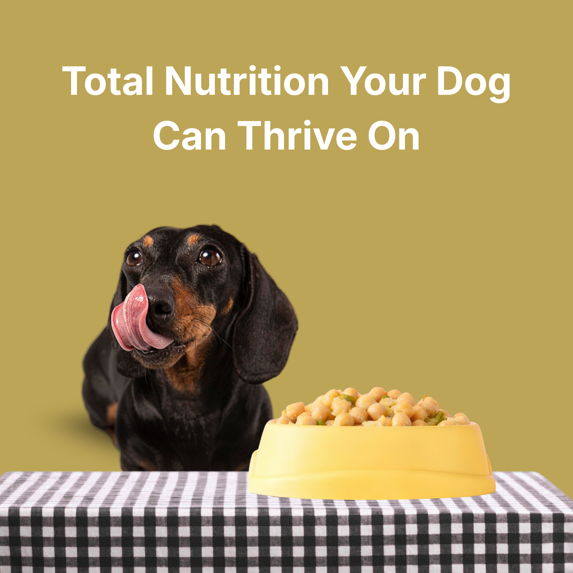 Veg Ready to Eat Wet Dog Food Plant & Based Vegan Pet Food Preservative-Free (Mix Veggie 100g+100g Pack)