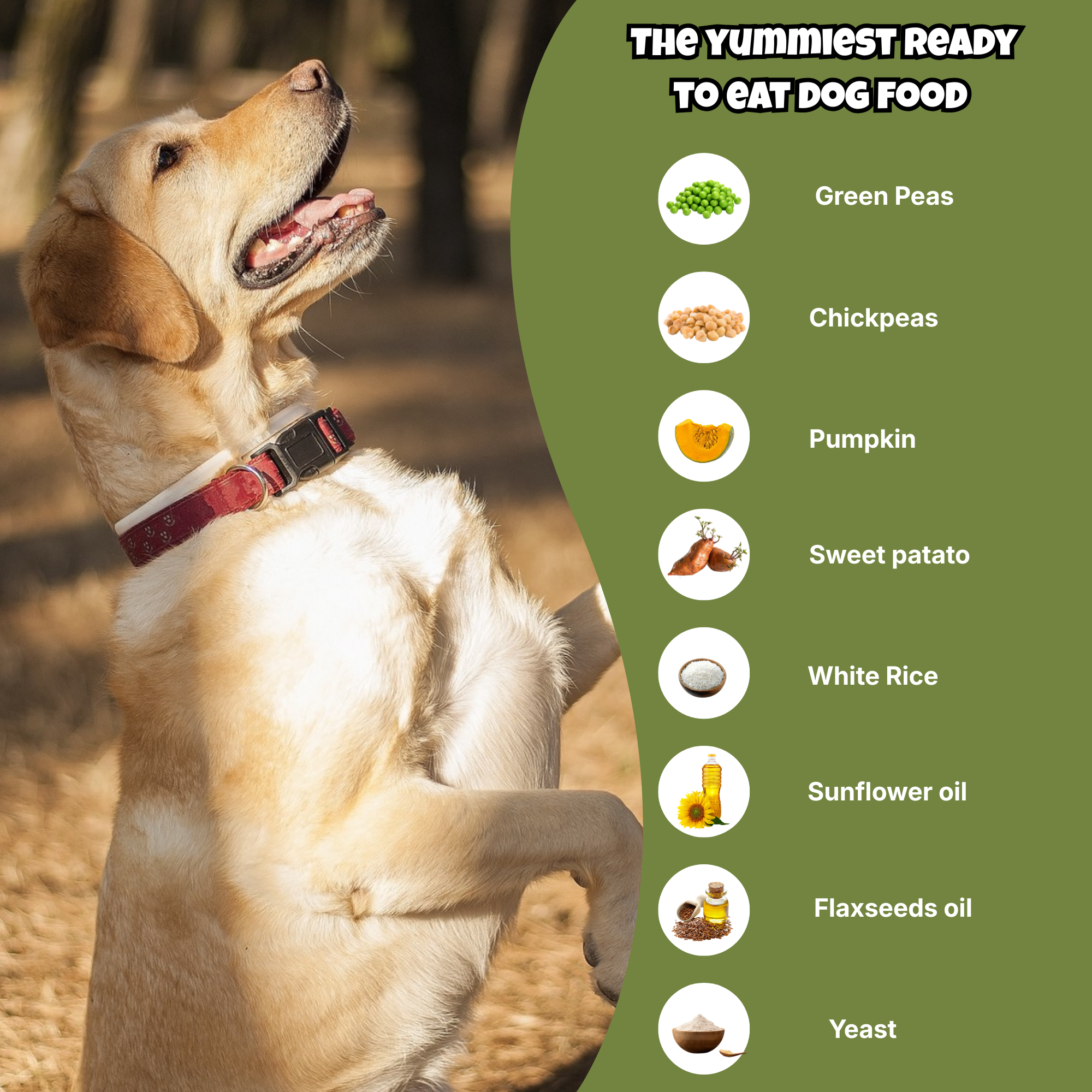 Veg Ready to Eat Wet Dog Food Plant & Based Vegan Pet Food Preservative-Free (Peas 100g+100g Pack)