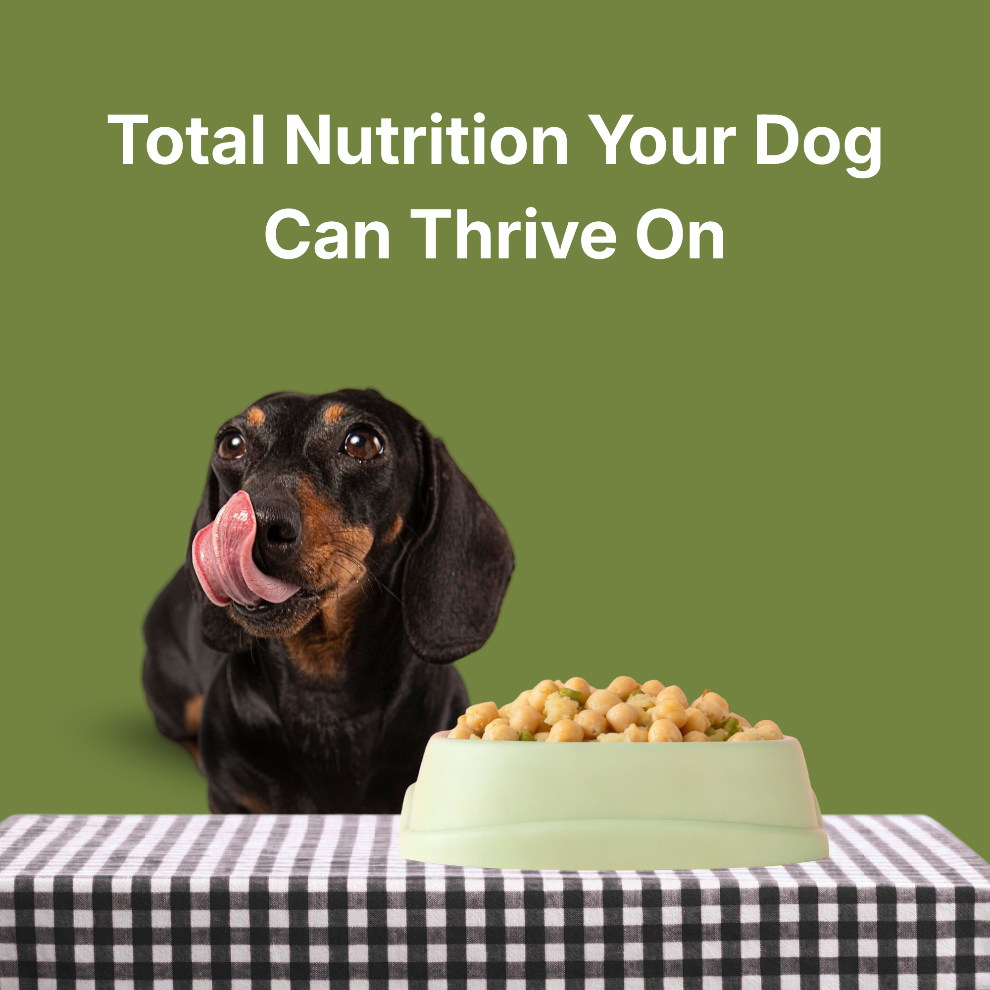 Veg Ready to Eat Wet Dog Food Plant & Based Vegan Pet Food Preservative-Free (Peas 100g+100g Pack)