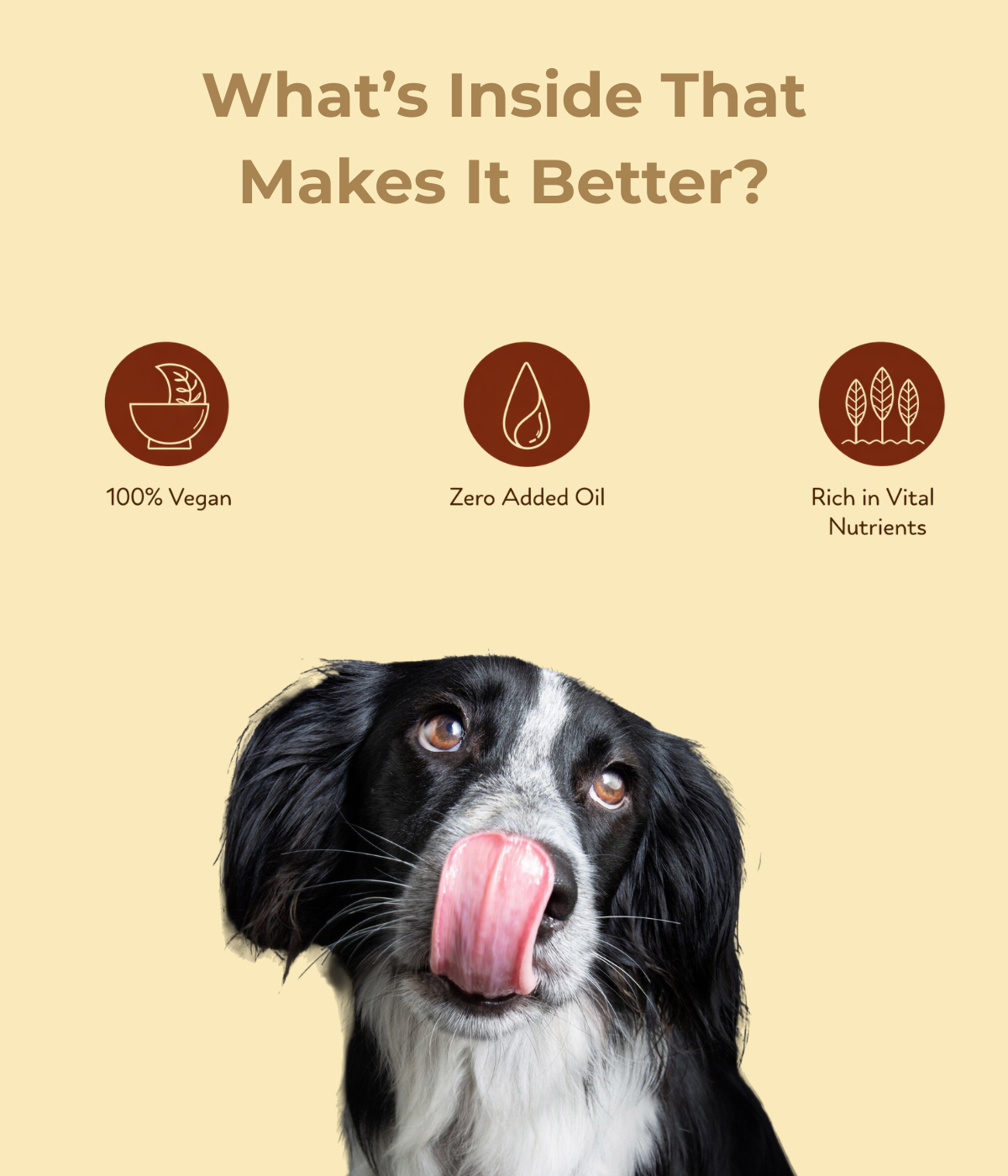 Peanut Butter for Dogs with Banana and Flex seed – 100% Natural, Preservative-Free, Healthy Dog Treat (275g)