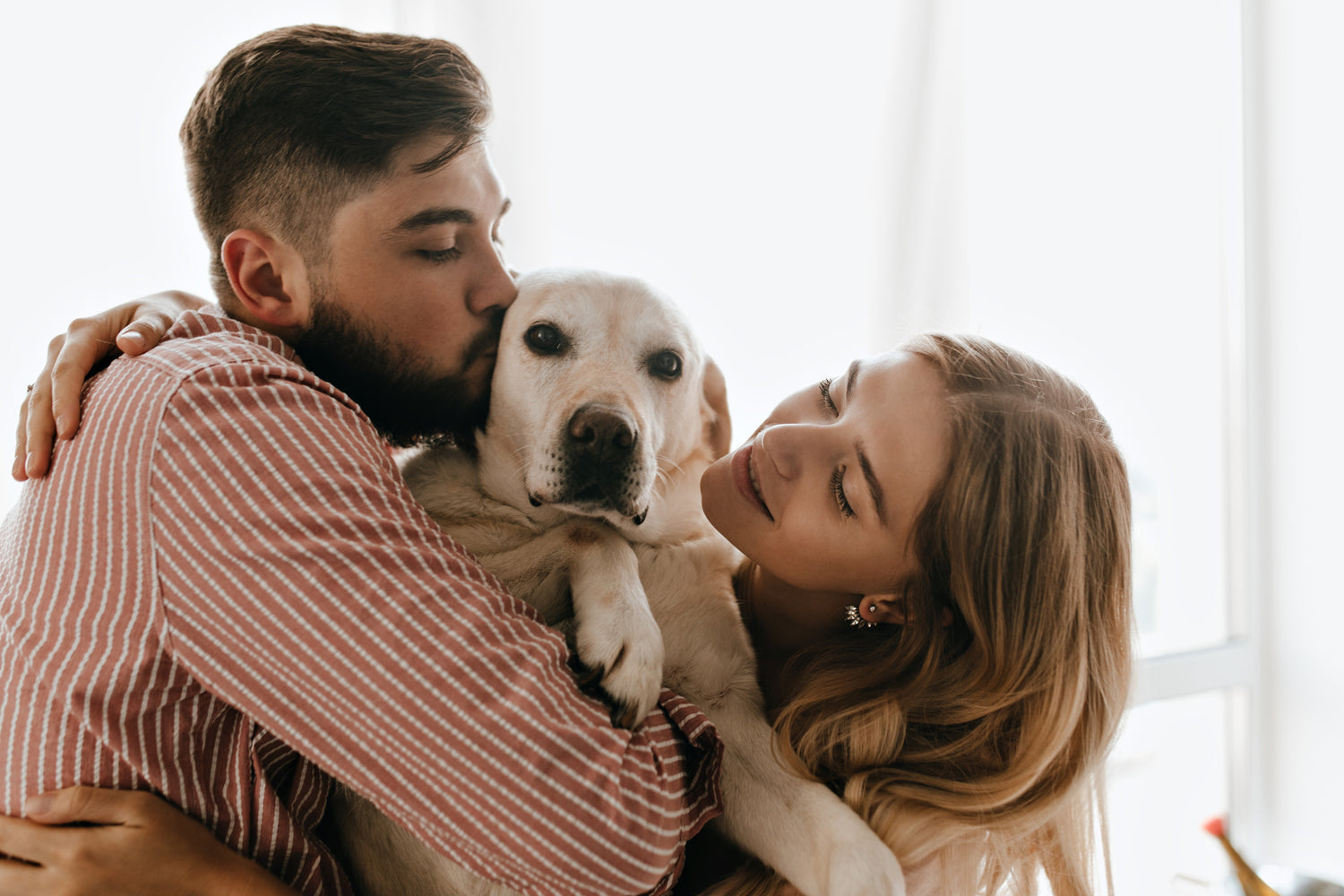 The Rise of Pet Parenting