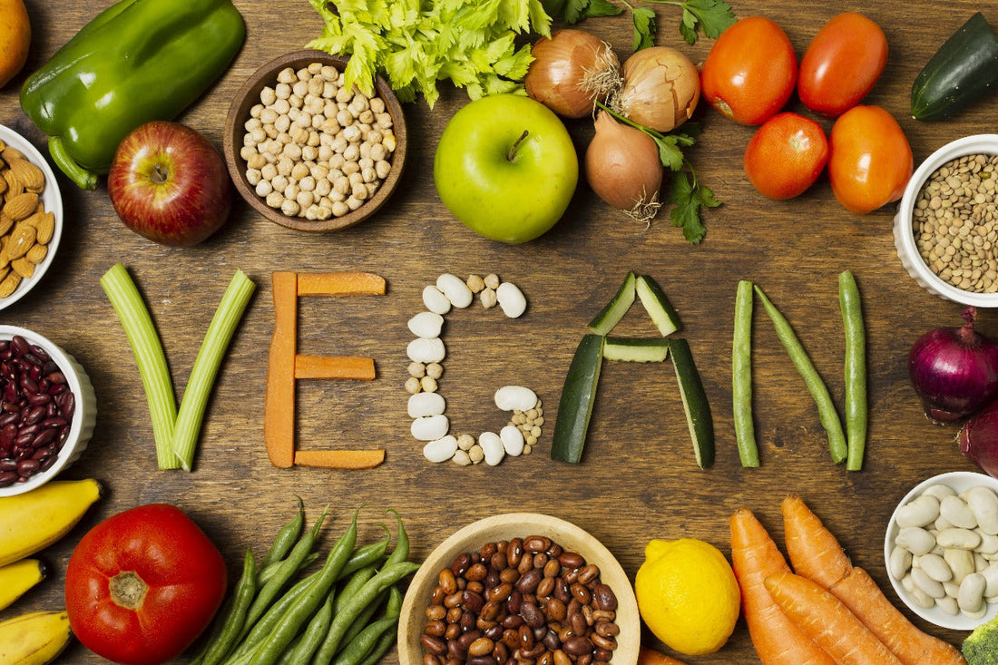 veg dog food