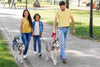 Pets in the City: Your rights, rules and responsibilities in the housing societies.
