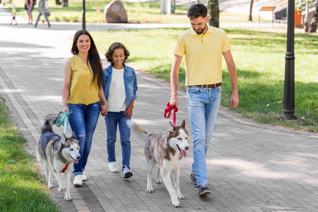 Pets in the City: Your rights, rules and responsibilities in the housing societies.