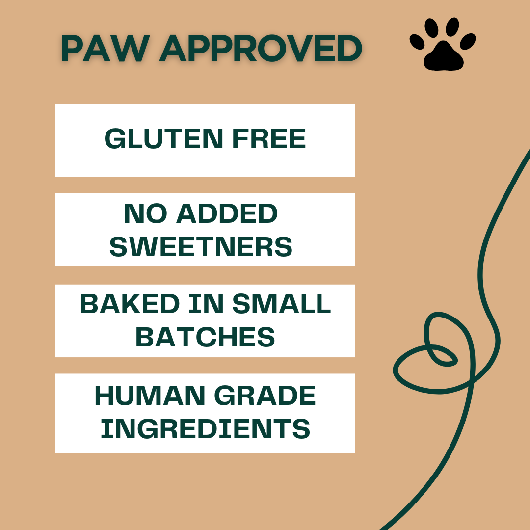 Dog Treats Plant-Based Healthy Vegan Biscuits for Dogs with Carrot & Pumpkin-100gm
