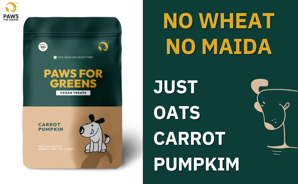 Dog Treats Plant-Based Healthy Vegan Biscuits for Dogs with Carrot & Pumpkin-100gm