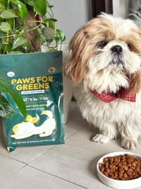 Dry dog food India pack