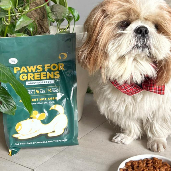 Complete vegan dog food with plant protein, Omega 3 & 6, and B12 supporting digestion, skin, immunity; grain-free, hypoallergenic. - alternate view