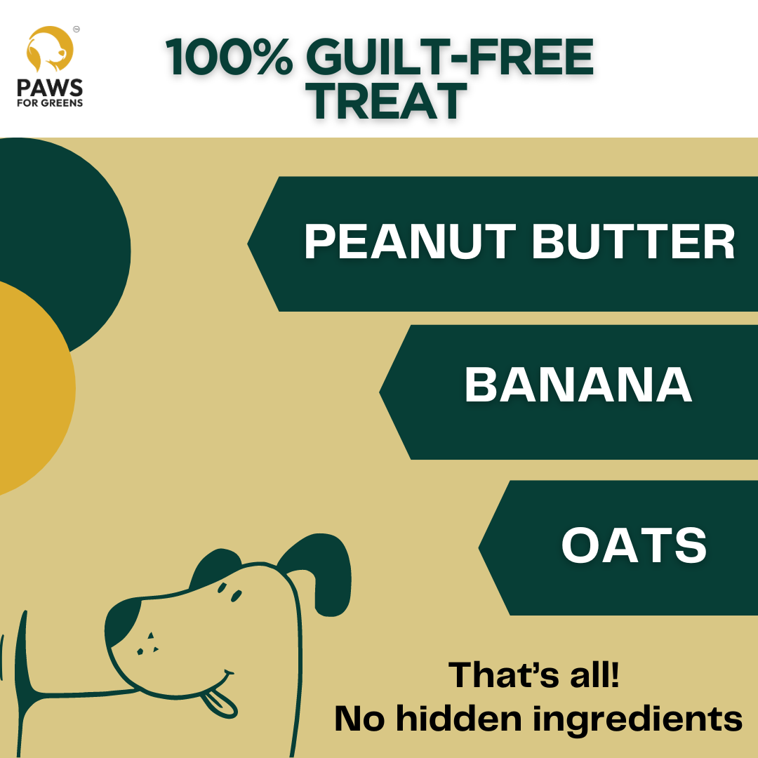 dog biscuits
