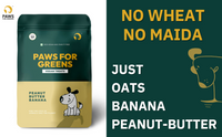 dog treats