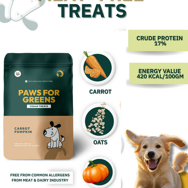 Crunchy vegan treats with oats, carrot, pumpkin supporting digestion and gut health; preservative-free; ideal for training and rewards. - alternate view