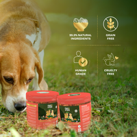Apple Vitality Bites | Immunity & Antioxidant Support | Freeze-Dried Functional Treat