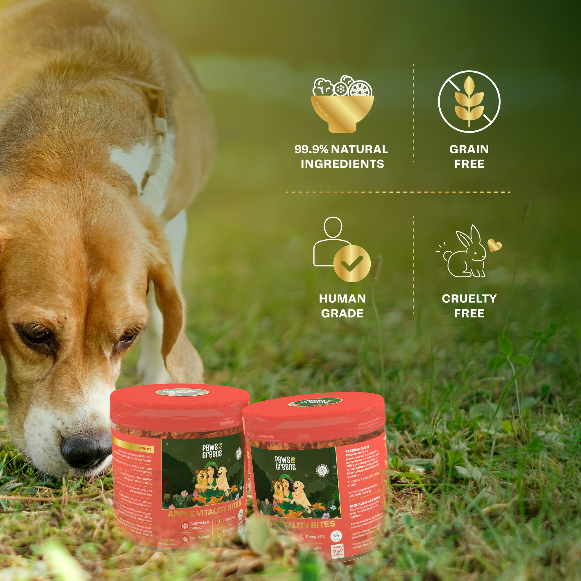 Apple Vitality Bites | Immunity & Antioxidant Support | Freeze-Dried Functional Treat