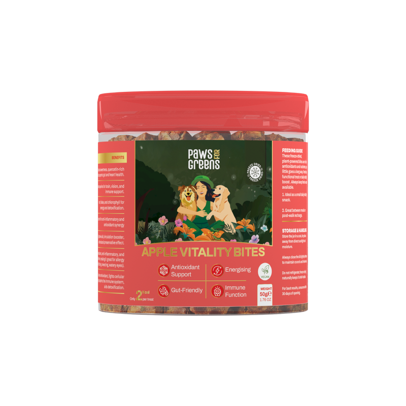 Apple Vitality Bites | Immunity & Antioxidant Support | Freeze-Dried Functional Treat