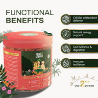 Apple Vitality Bites | Immunity & Antioxidant Support | Freeze-Dried Functional Treat